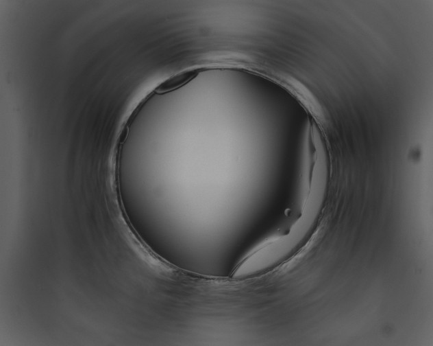 X0000089751196200707121335