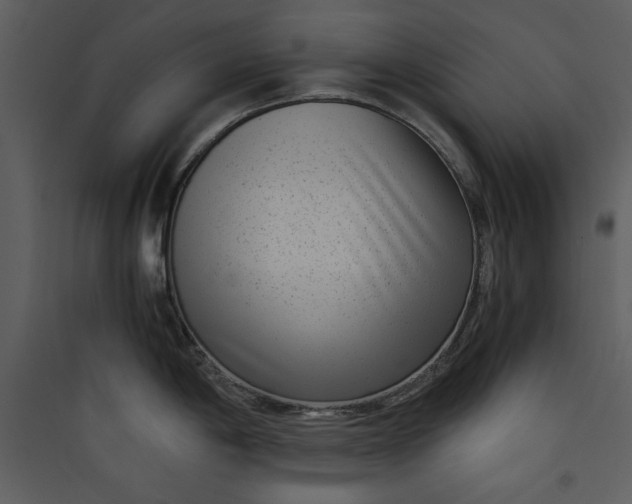 X0000089751198200707121335