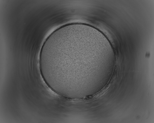 X0000089751199200707121335