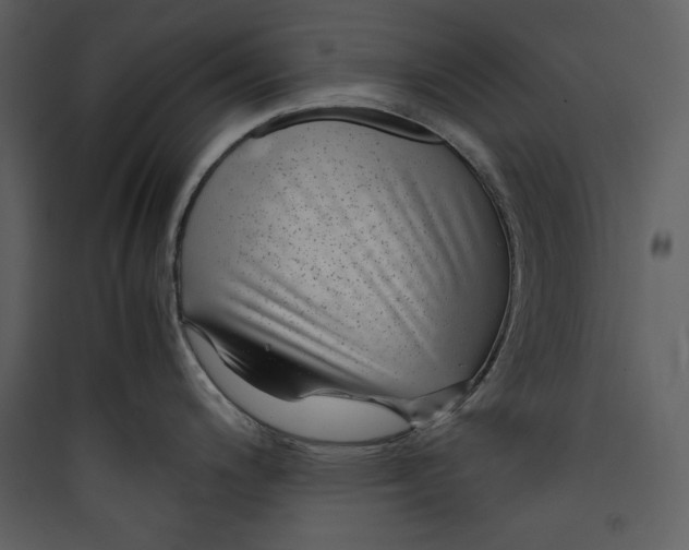 X0000089751200200707121335