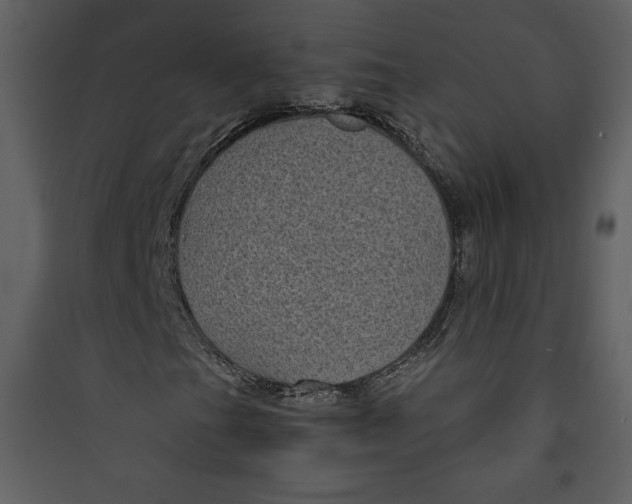 X0000089751201200707121334