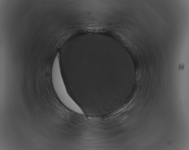 X0000089751202200707121334