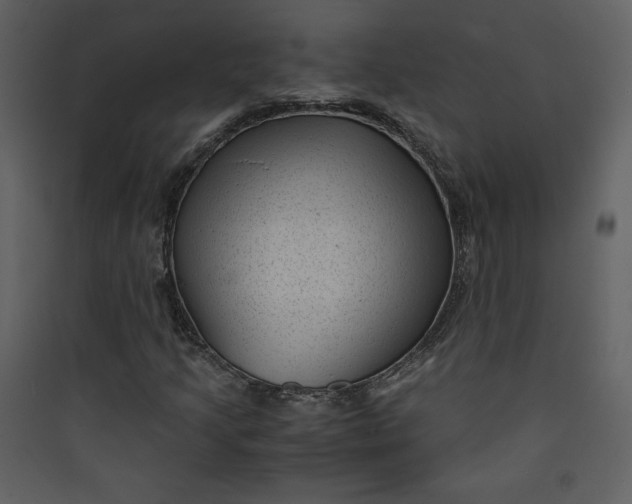 X0000089751205200707121334