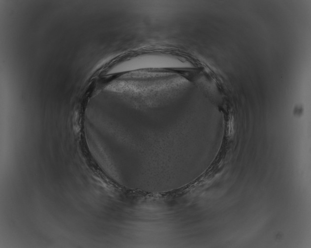 X0000089751206200707121334