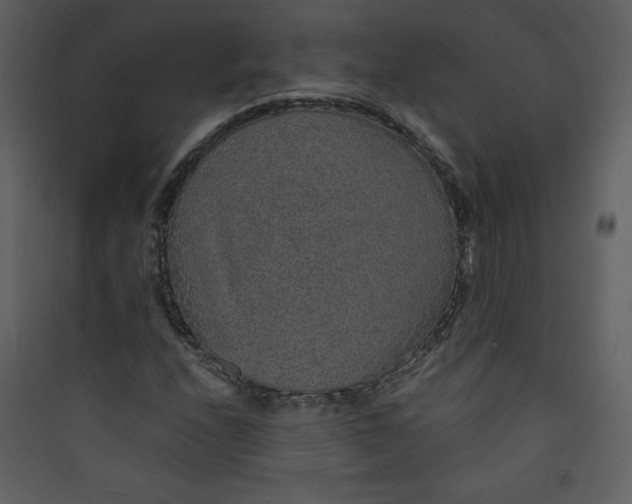 X0000089751208200707121334