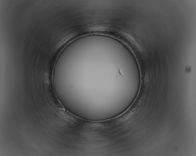 X0000089751209200707121334