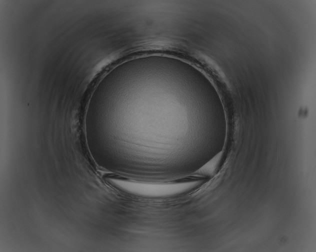 X0000089751210200707121334