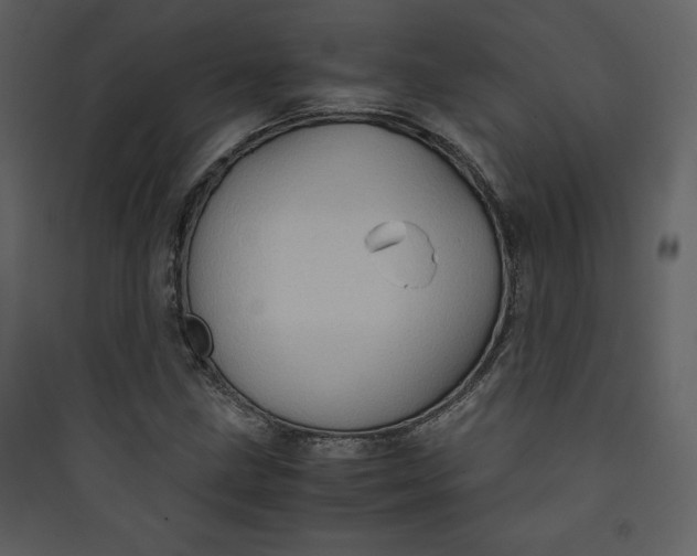 X0000089751211200707121334