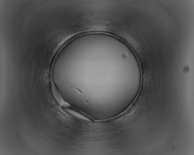 X0000089751212200707121334