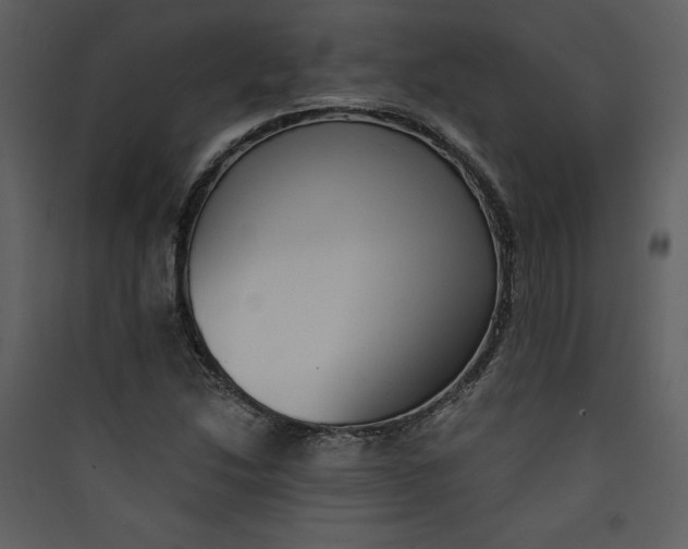 X0000089751214200707121334