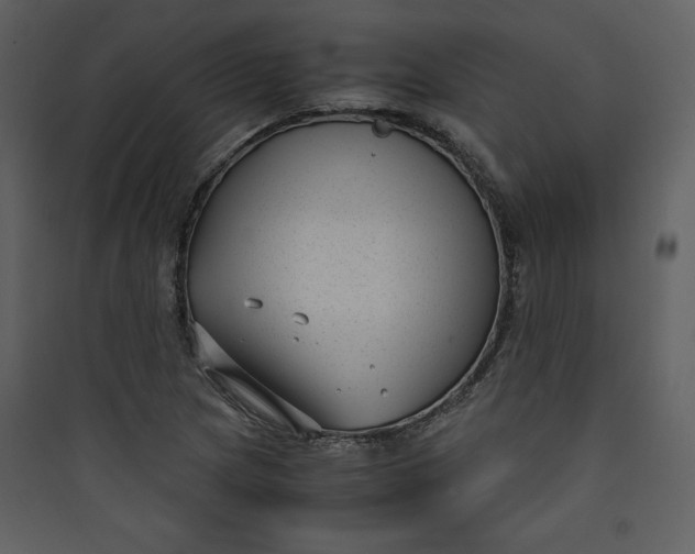 X0000089751217200707121334