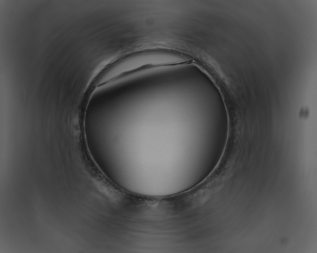 X0000089751218200707121334