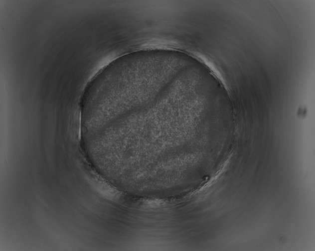 X0000089751219200707121334