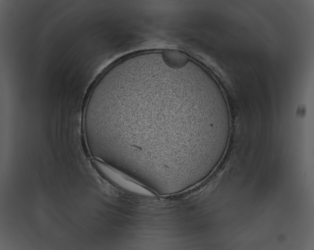 X0000089751220200707121334