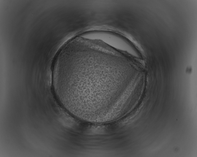 X0000089751221200707121334