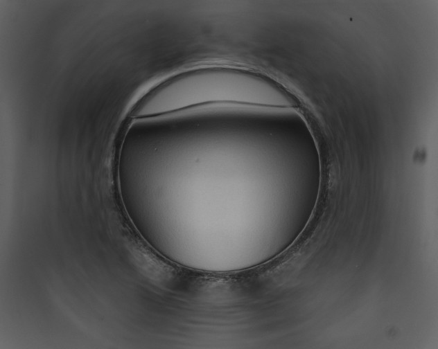 X0000089751222200707121334