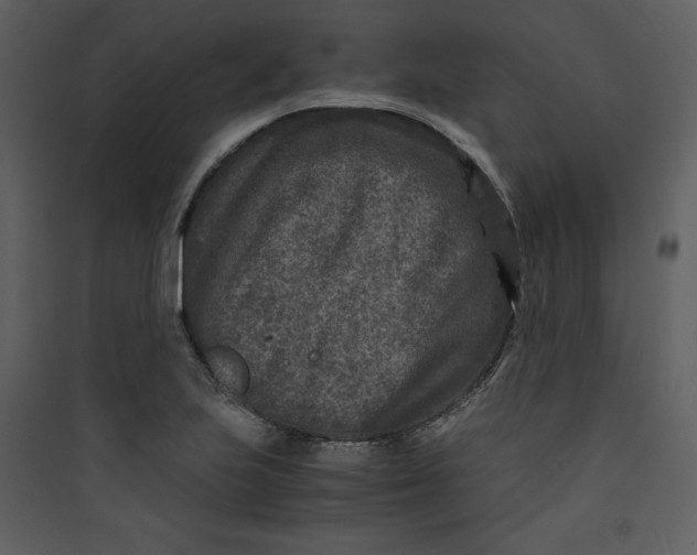 X0000089751223200707121334