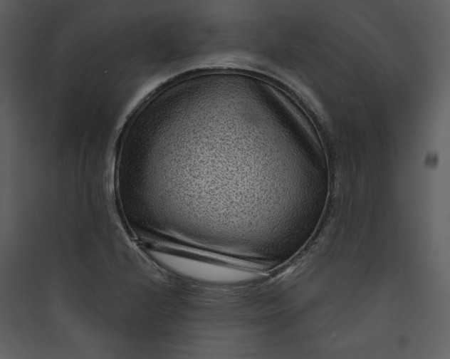 X0000089751224200707121334