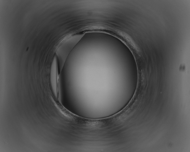 X0000089751225200707121334