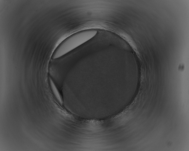 X0000089751226200707121334