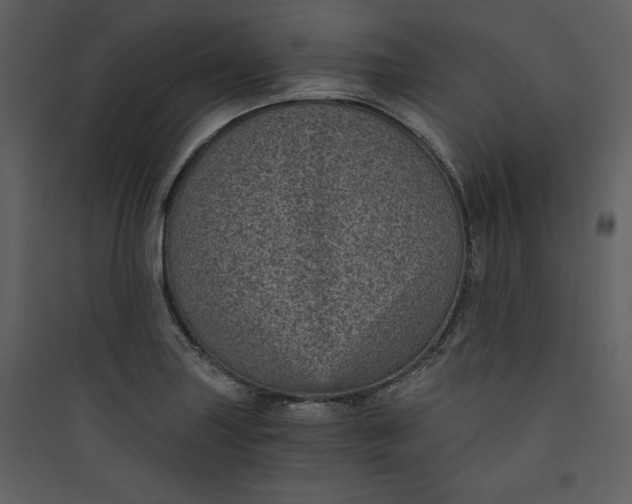 X0000089751227200707121334