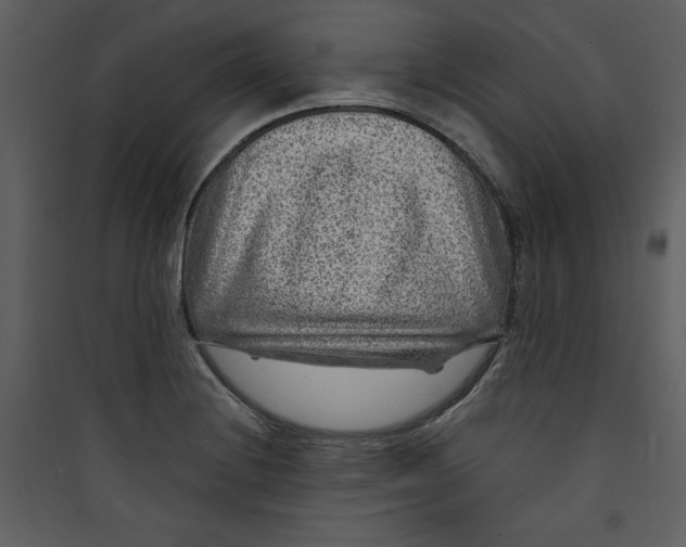 X0000089751228200707121334