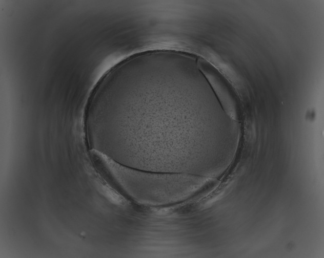 X0000089751230200707121334