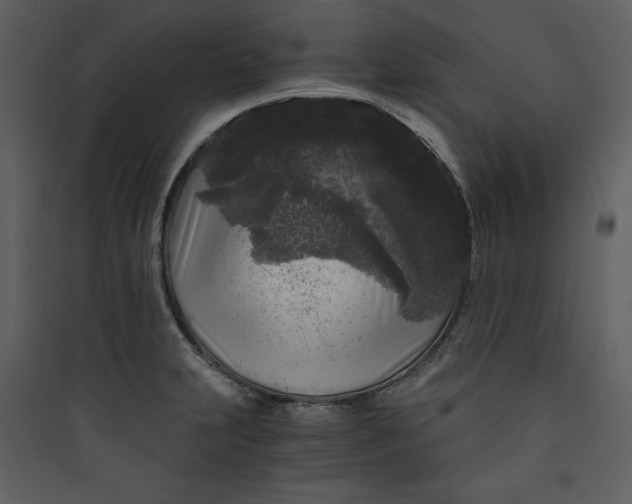 X0000089751231200707121334