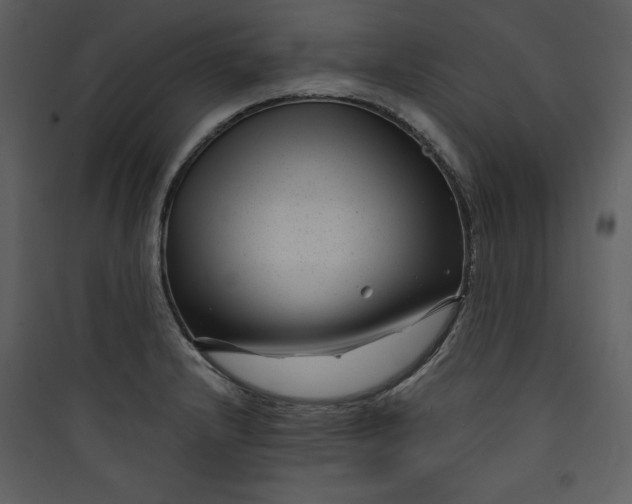 X0000089751232200707121334