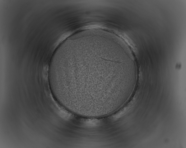 X0000089751233200707121334