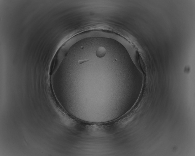 X0000089751234200707121334