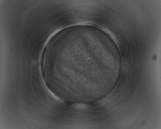 X0000089751235200707121334