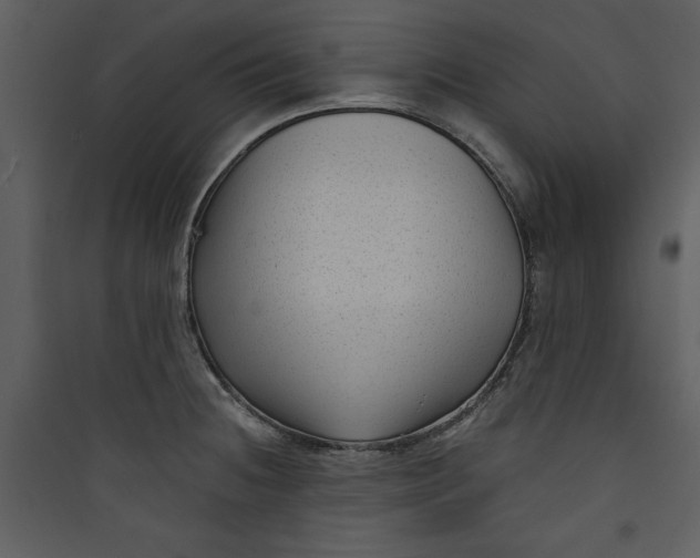 X0000089751236200707121334