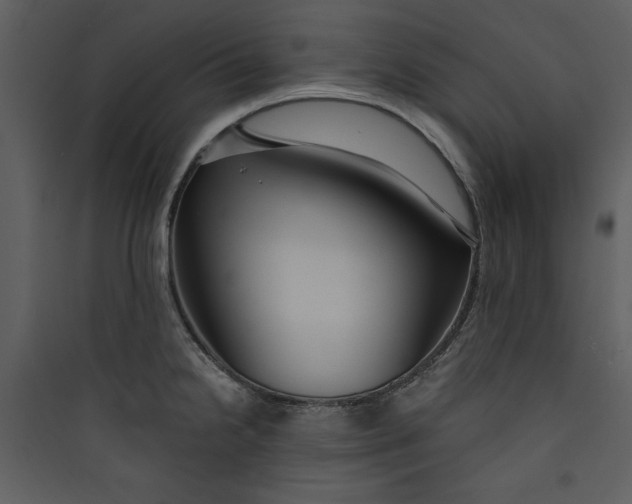 X0000089751238200707121334