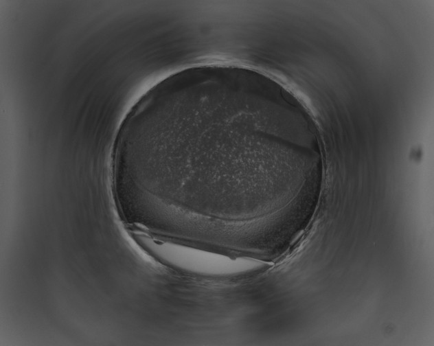 X0000089751239200707121334