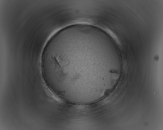 X0000089751240200707121335