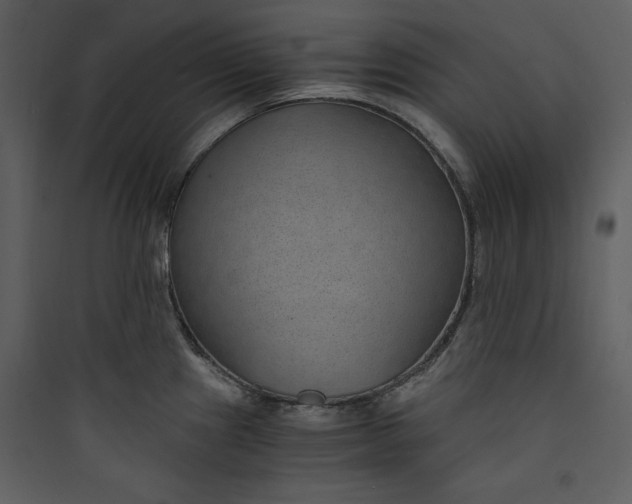 X0000089751241200707121335