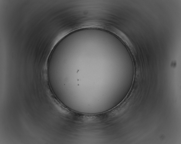 X0000089751242200707121335