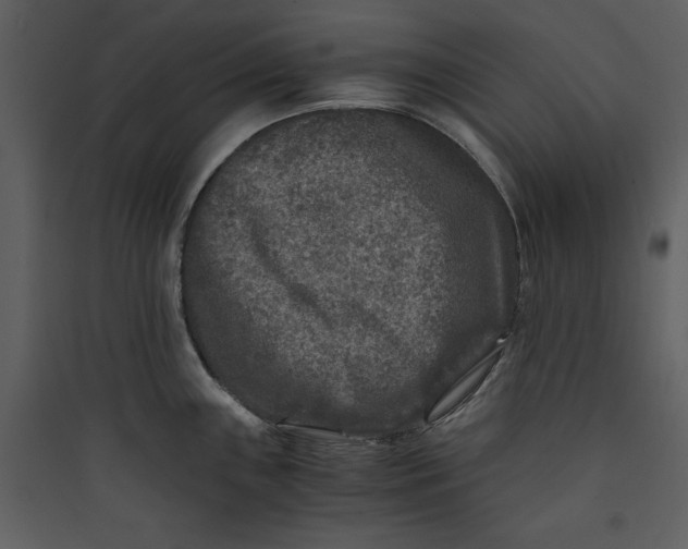 X0000089751243200707121335