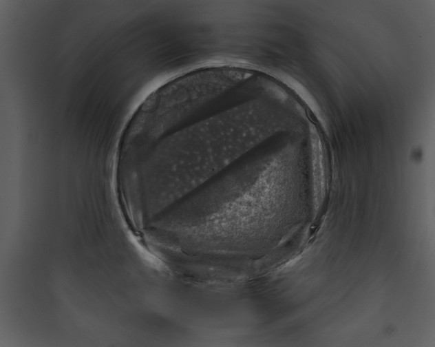 X0000089751245200707121335