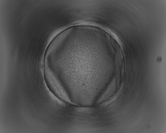 X0000089751247200707121335