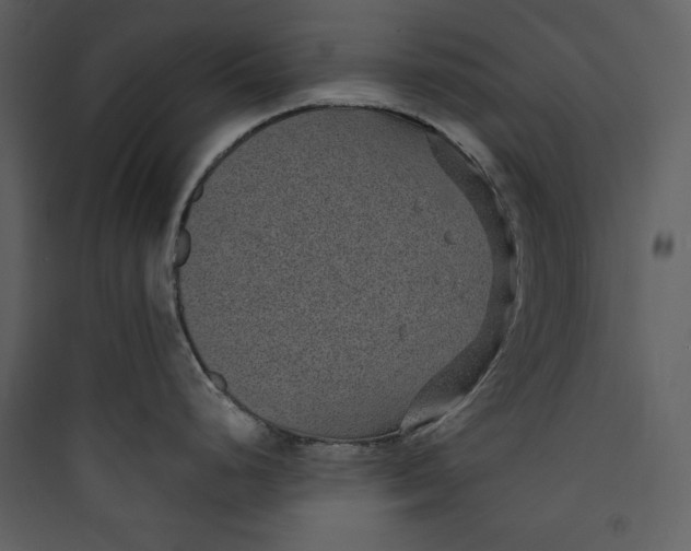 X0000089751248200707121335