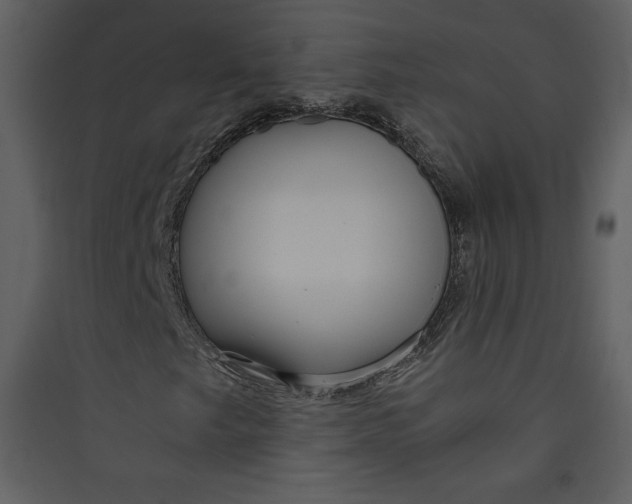 X0000089751249200707121334