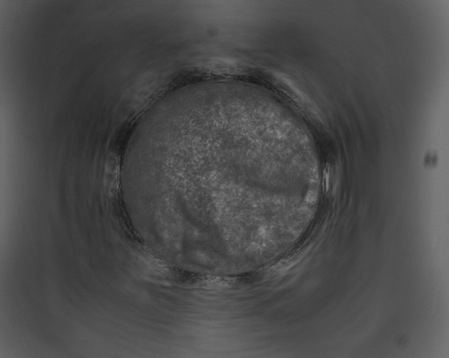 X0000089751251200707121334