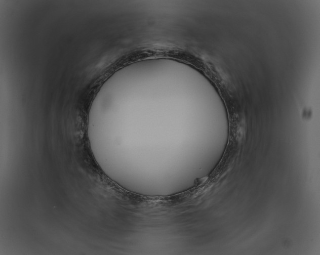 X0000089751253200707121334