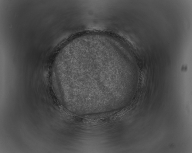 X0000089751254200707121334