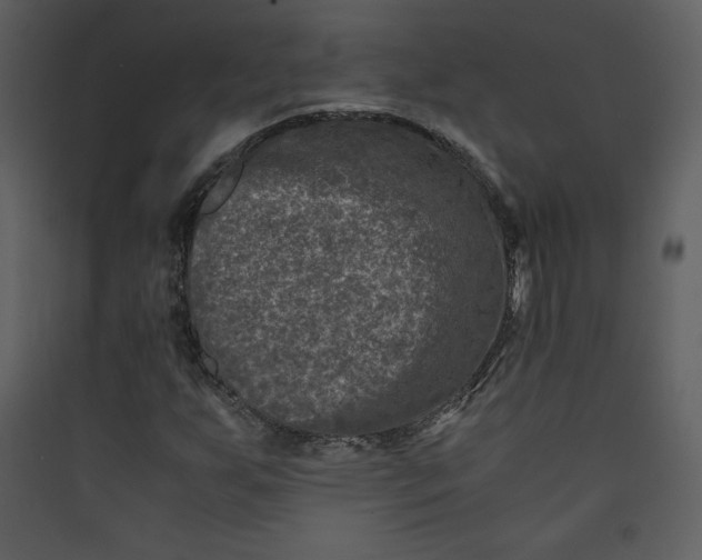 X0000089751255200707121334