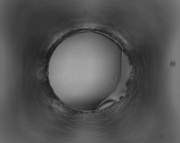 X0000089751256200707121334