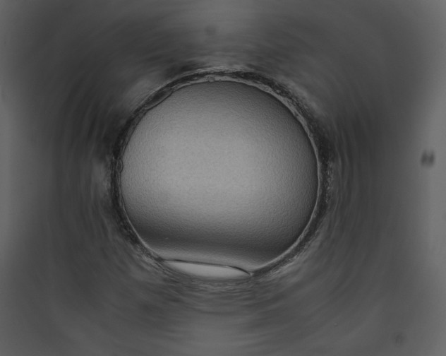 X0000089751257200707121334