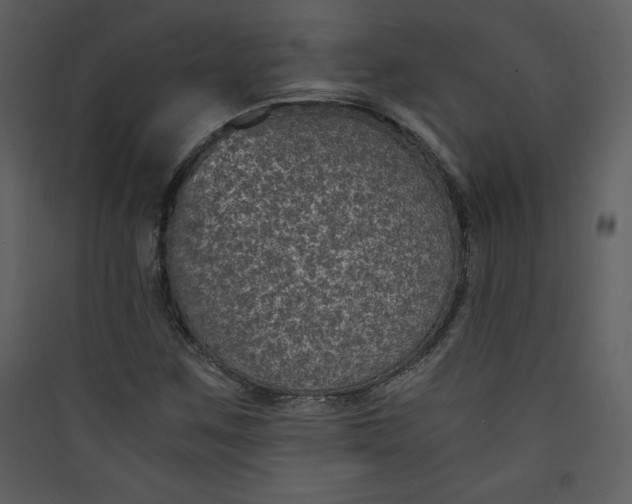 X0000089751259200707121334